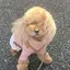 ななぽこのプロフィール画像