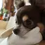 harunaのプロフィール画像