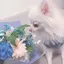 こばちゃんのプロフィール画像