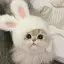あのプロフィール画像