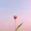 えまのプロフィール画像