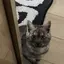 Mのプロフィール画像
