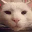 kaoのプロフィール画像