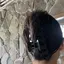 りさこのプロフィール画像