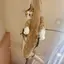 natchのプロフィール画像