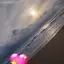 なめこのプロフィール画像