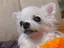 さちのプロフィール画像
