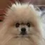 ひらりのプロフィール画像