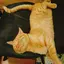 茶トラ^._.^のプロフィール画像