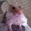 きょうのプロフィール画像