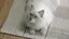なおのプロフィール画像