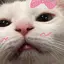 にょんのプロフィール画像