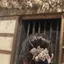 YUKOのプロフィール画像