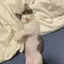 すずののプロフィール画像