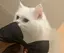あいぽのプロフィール画像