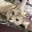 ぁ*のプロフィール画像