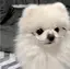 ちーちゃんのプロフィール画像