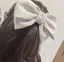 蘭ちゃんのプロフィール画像
