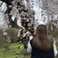 若菜のプロフィール画像