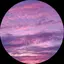 わさびのプロフィール画像