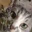 terumiのプロフィール画像