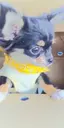 牙琉ママのプロフィール画像