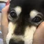 ミのプロフィール画像