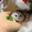 ひ！のプロフィール画像