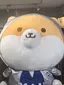 〇姉のプロフィール画像