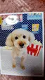 めぐみのプロフィール画像