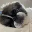 やむのプロフィール画像