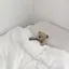 𝘒のプロフィール画像