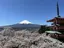 あまたくのプロフィール画像