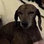 じょんのプロフィール画像