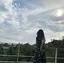 エリンギのプロフィール画像