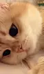 ひろとのプロフィール画像