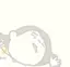 Rのプロフィール画像