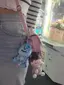 るるのプロフィール画像