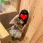 なーのプロフィール画像