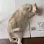飯島さんのプロフィール画像