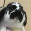ayakaのプロフィール画像