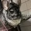 もなぞうのプロフィール画像