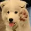柚月のプロフィール画像