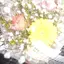 non chaanのプロフィール画像