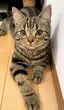 りょちのプロフィール画像