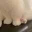佳慧のプロフィール画像