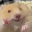 みみのプロフィール画像