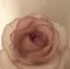 mのプロフィール画像