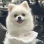 らんのプロフィール画像