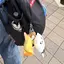 ちぇゆのプロフィール画像